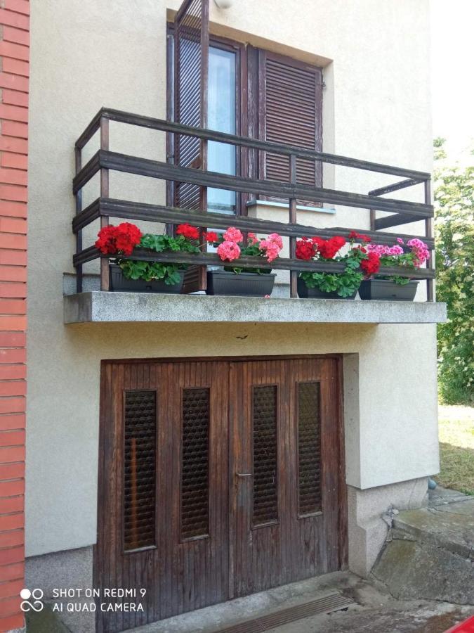 Vila Milica Кралево Екстер'єр фото